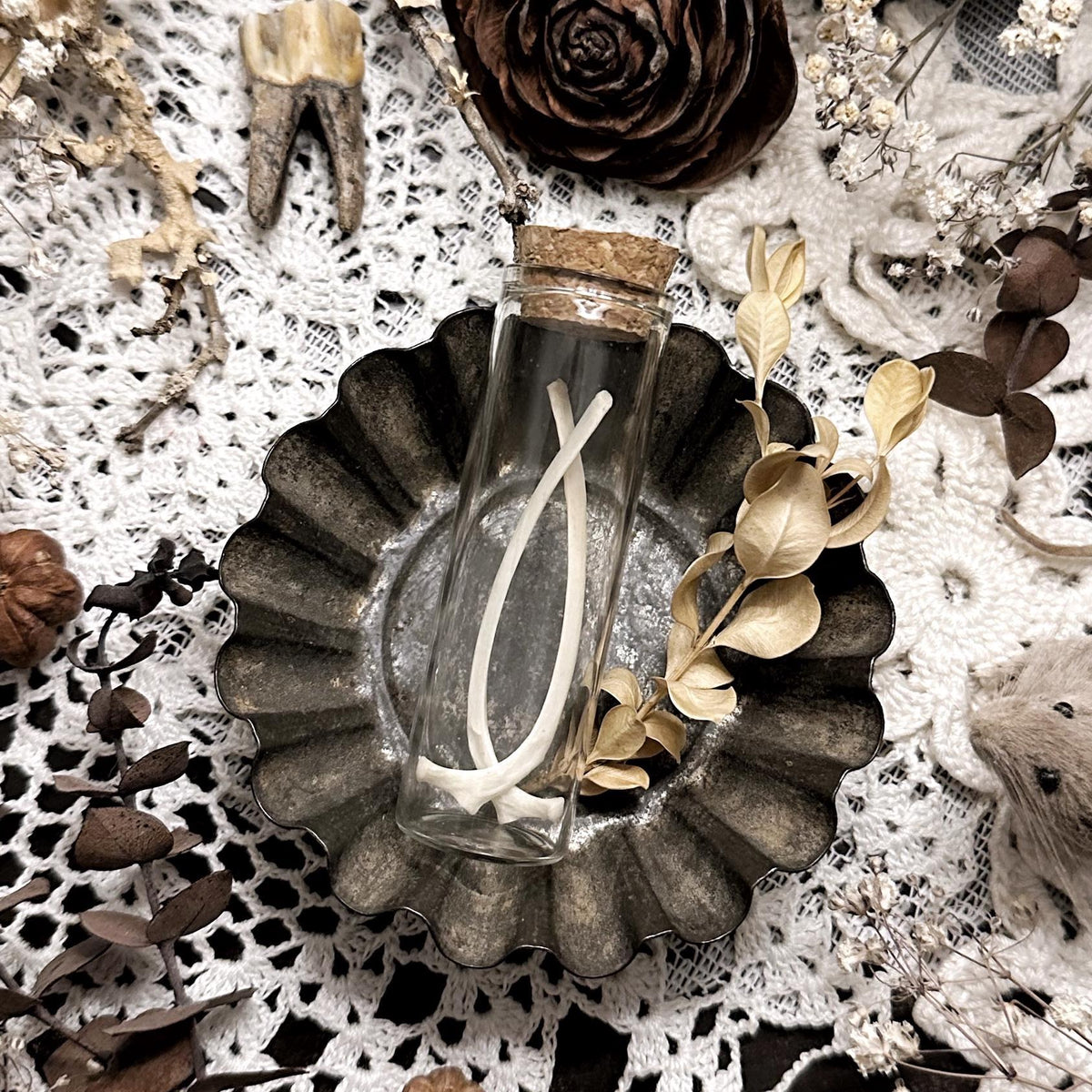 Real Opossum Rib Bones in Glass Vial – No. 01