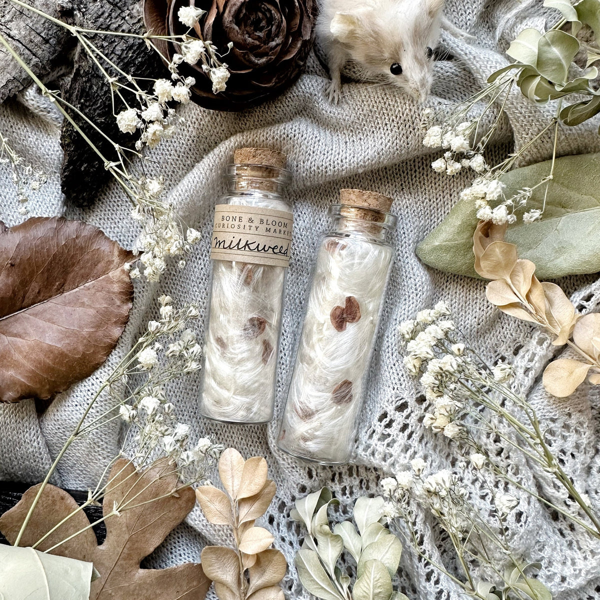 Dried Milkweed Fluff in Glass Vial