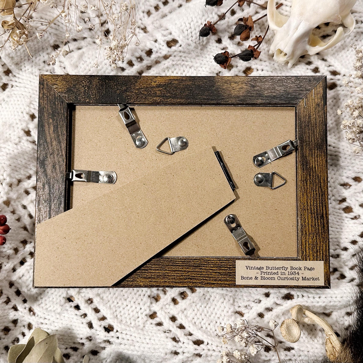 1934 The Common Blue Butterfly – 4x6 Framed Vintage 1930's Book Page