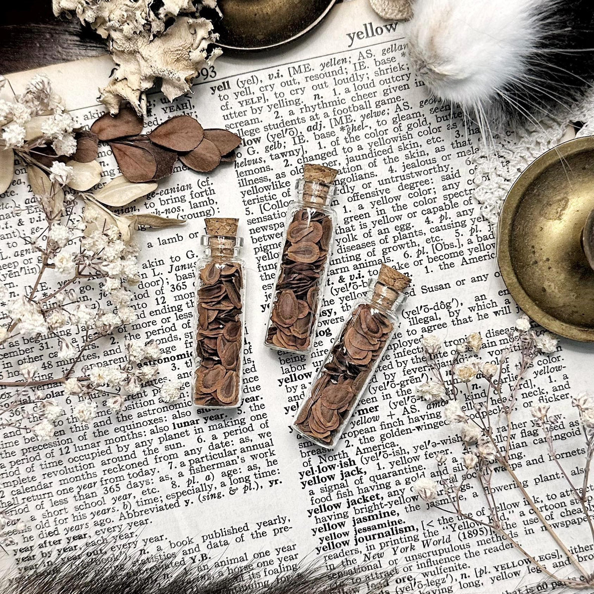 Milkweed Seeds in Tiny Glass Vial