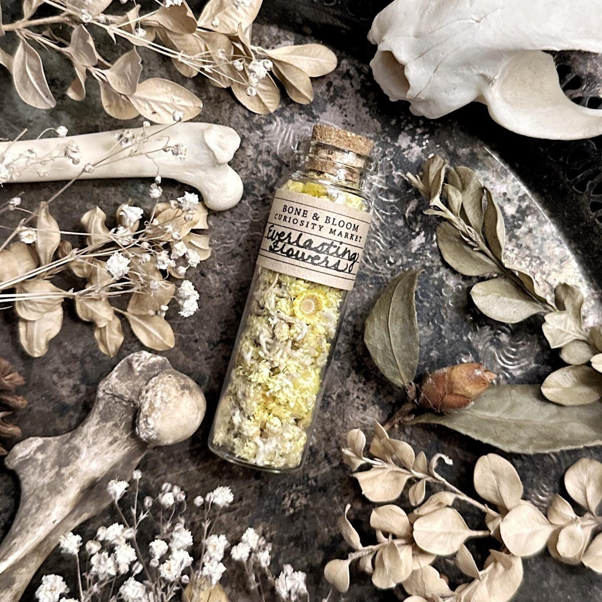 Dried Everlasting Flowers in Glass Vial