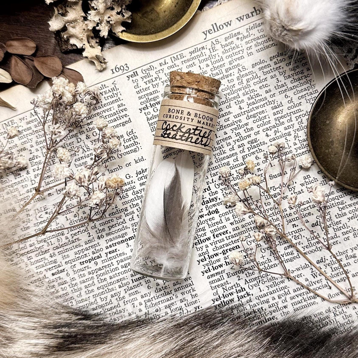 Real Petite Cockatiel Feathers in Glass Vial – No. 01