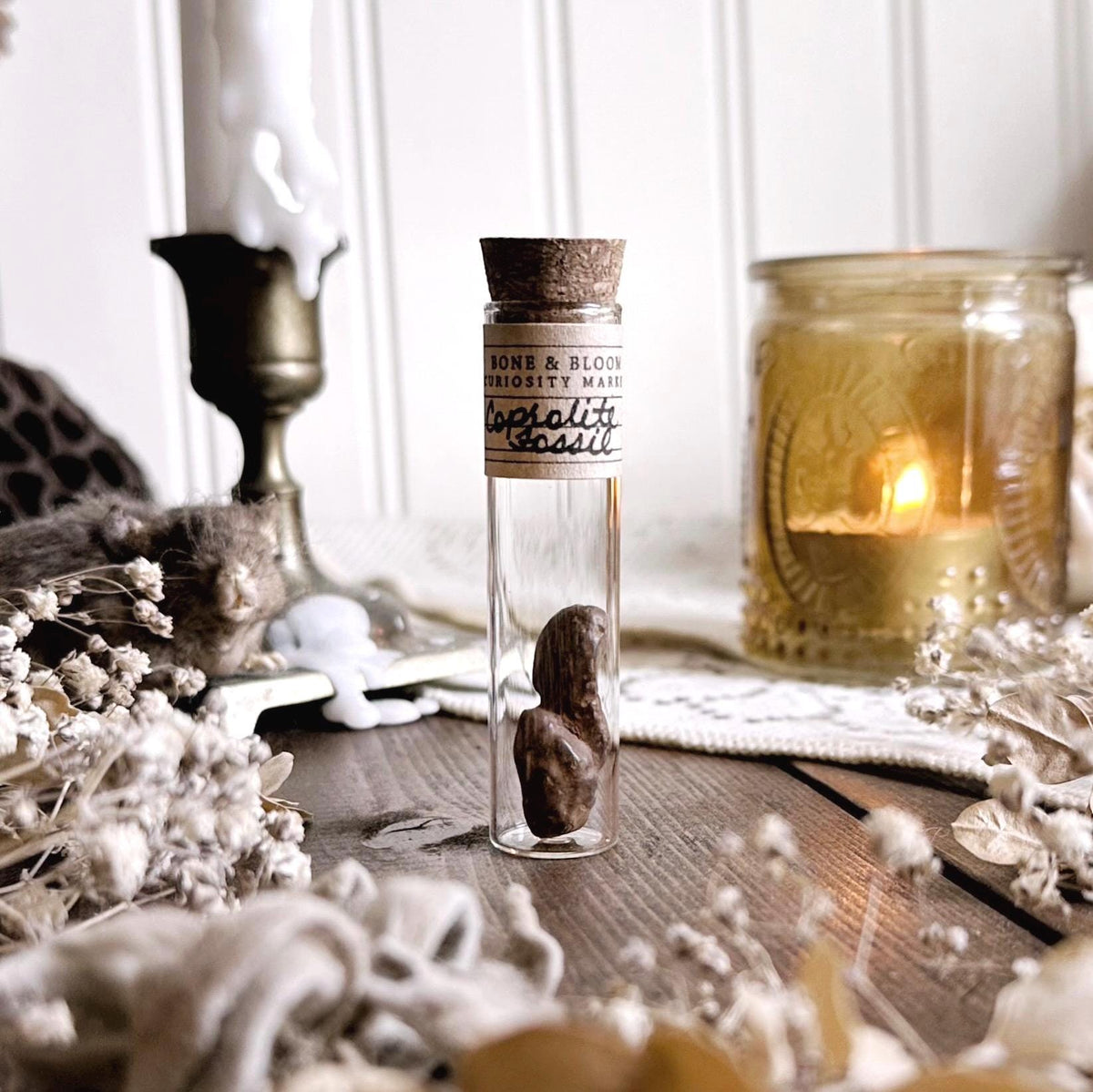 Real Petite Coprolite Fossil in Glass Vial – No. 15