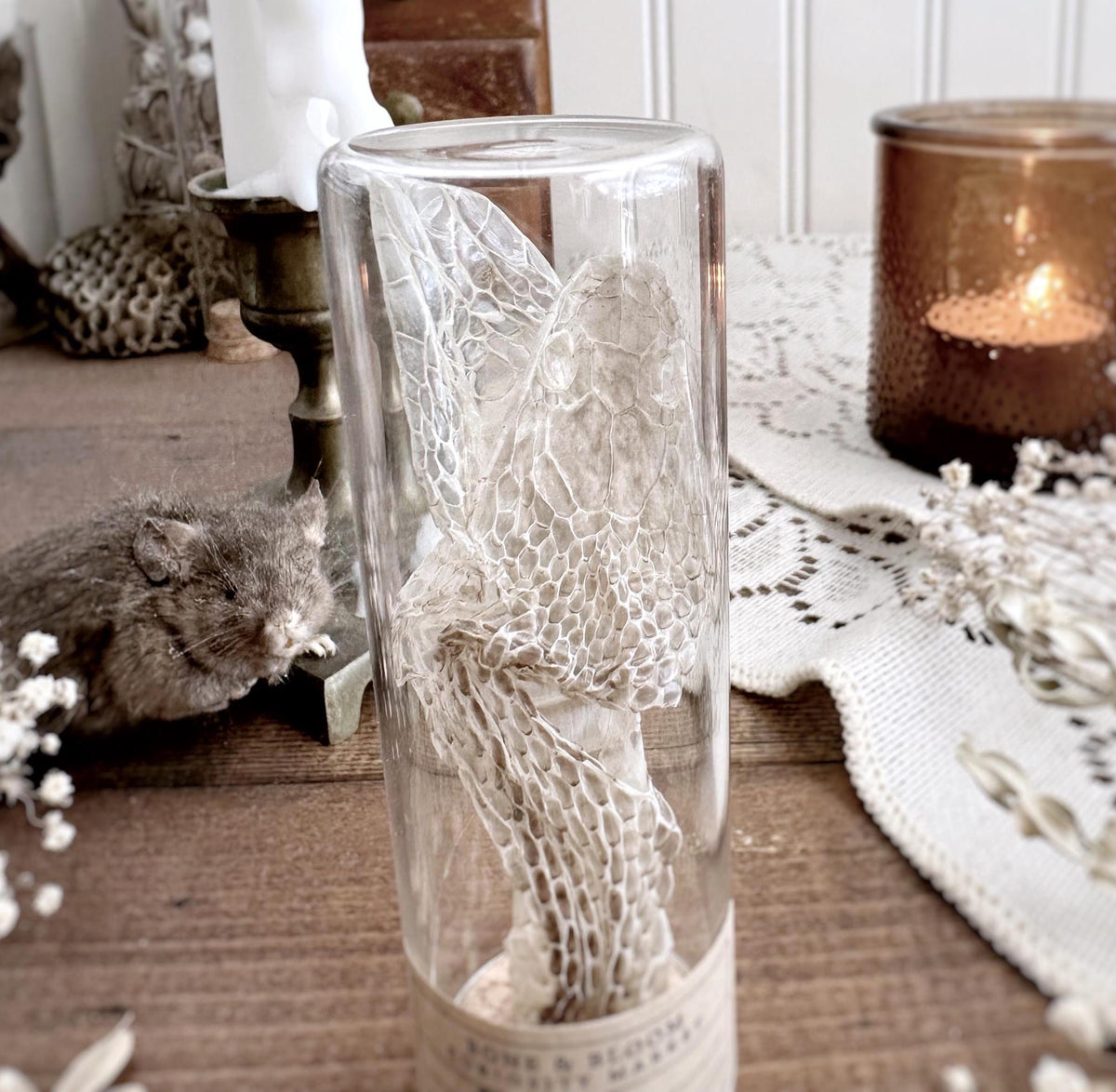 Snake Mask in Glass Vial – No. 01