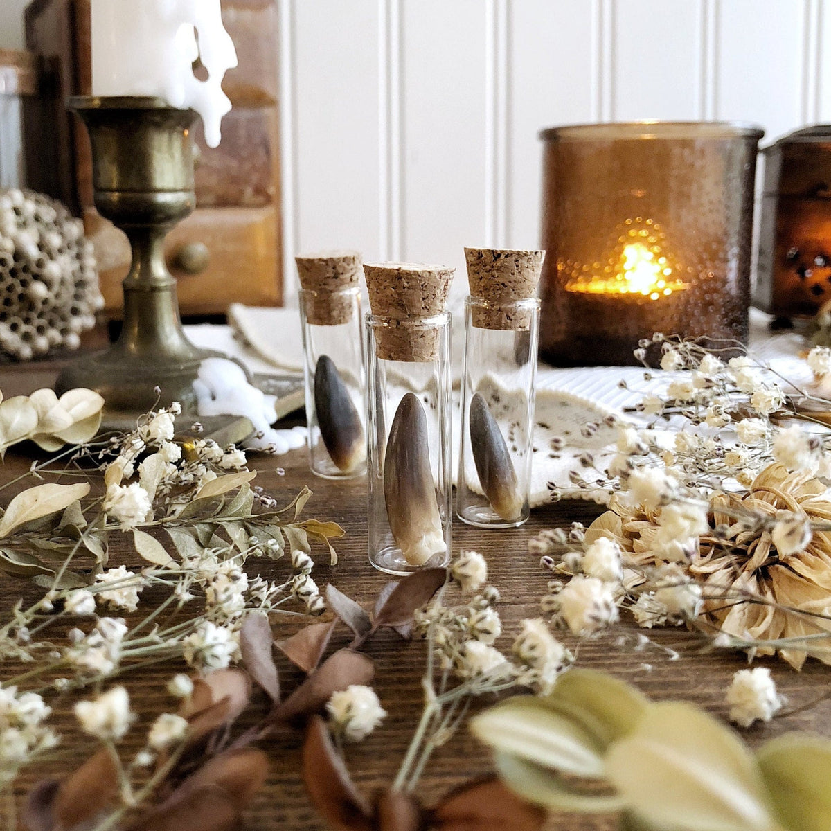 One Real Turkey Claw in Glass Vial – No. 01