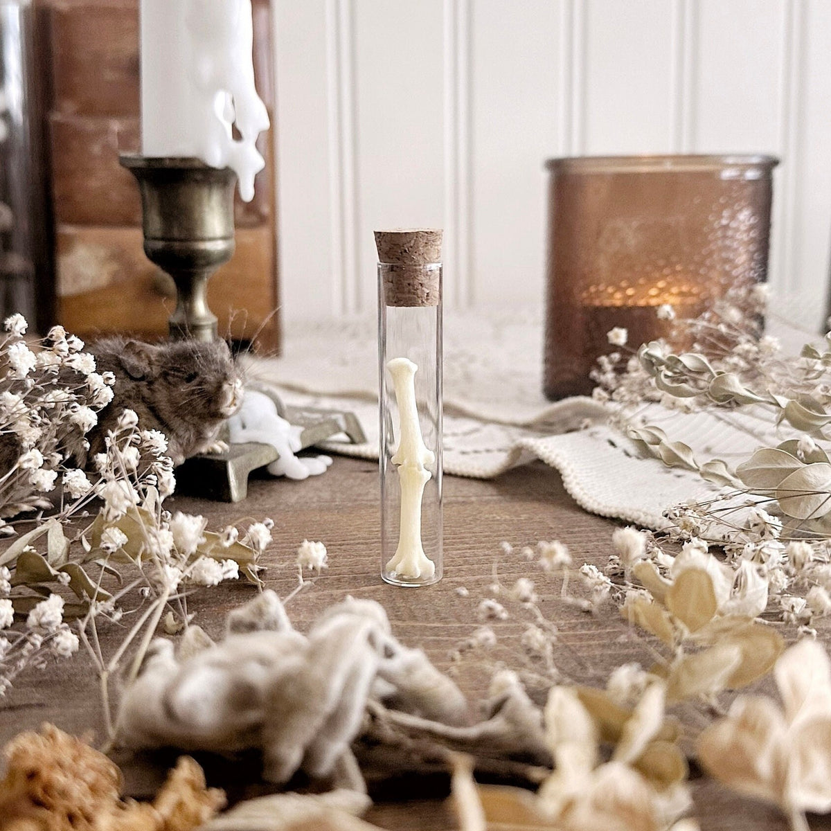 Real Raccoon Foot Bones in Glass Vial – No. 04