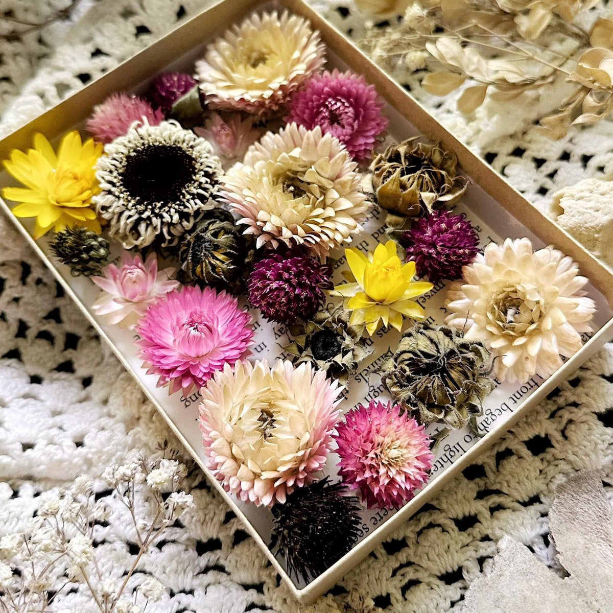 Collection of 20+ Dried Flower Heads
