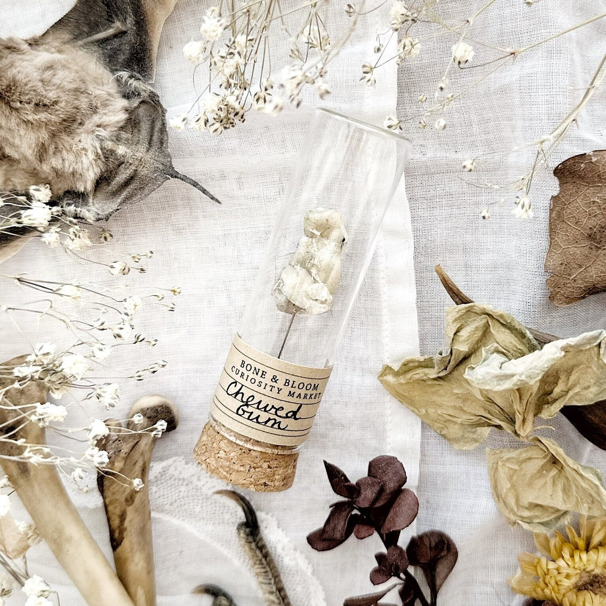 Chewed Gum Specimen in Glass Vial β No. 01