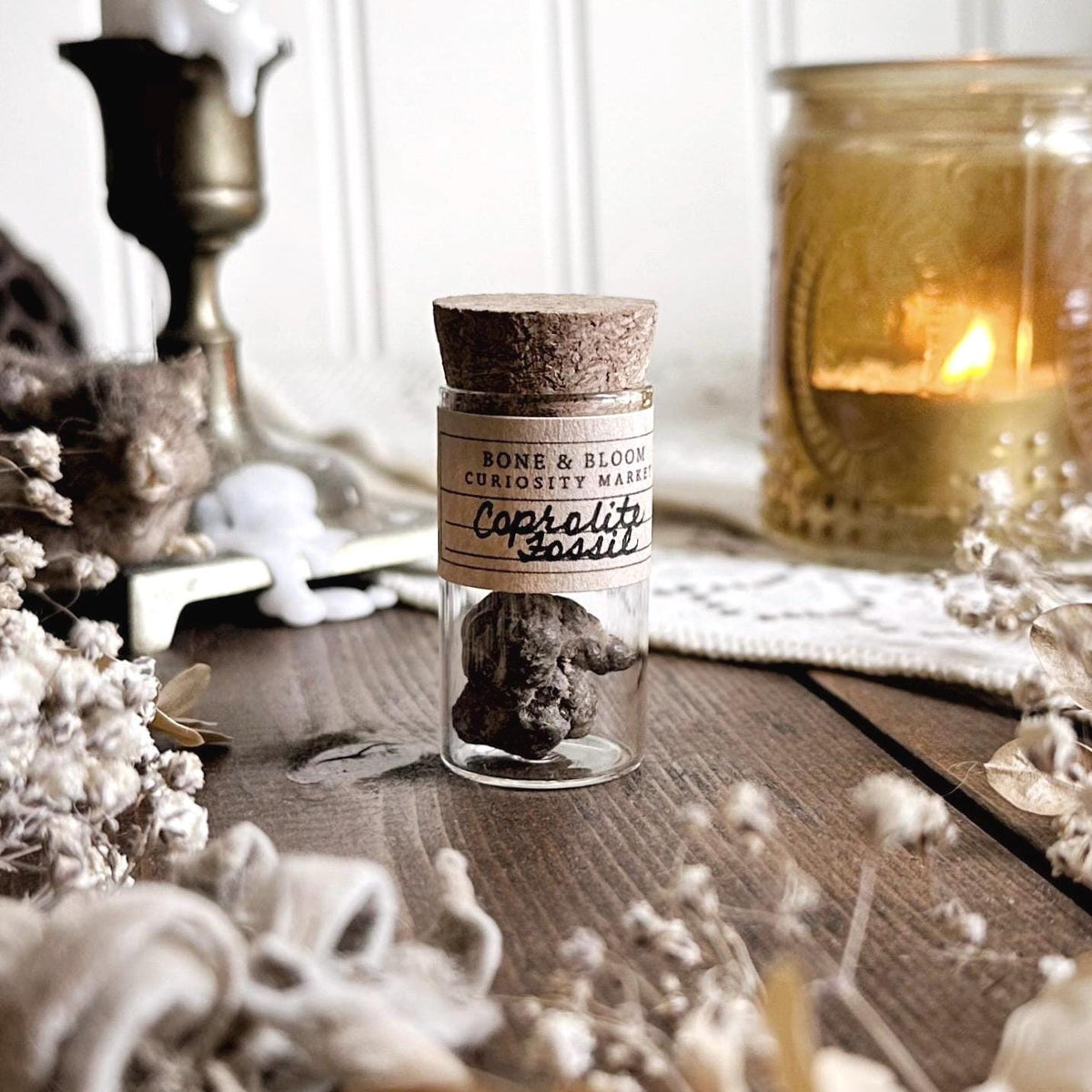Real Tiny Coprolite Fossil in Glass Vial – No. 20