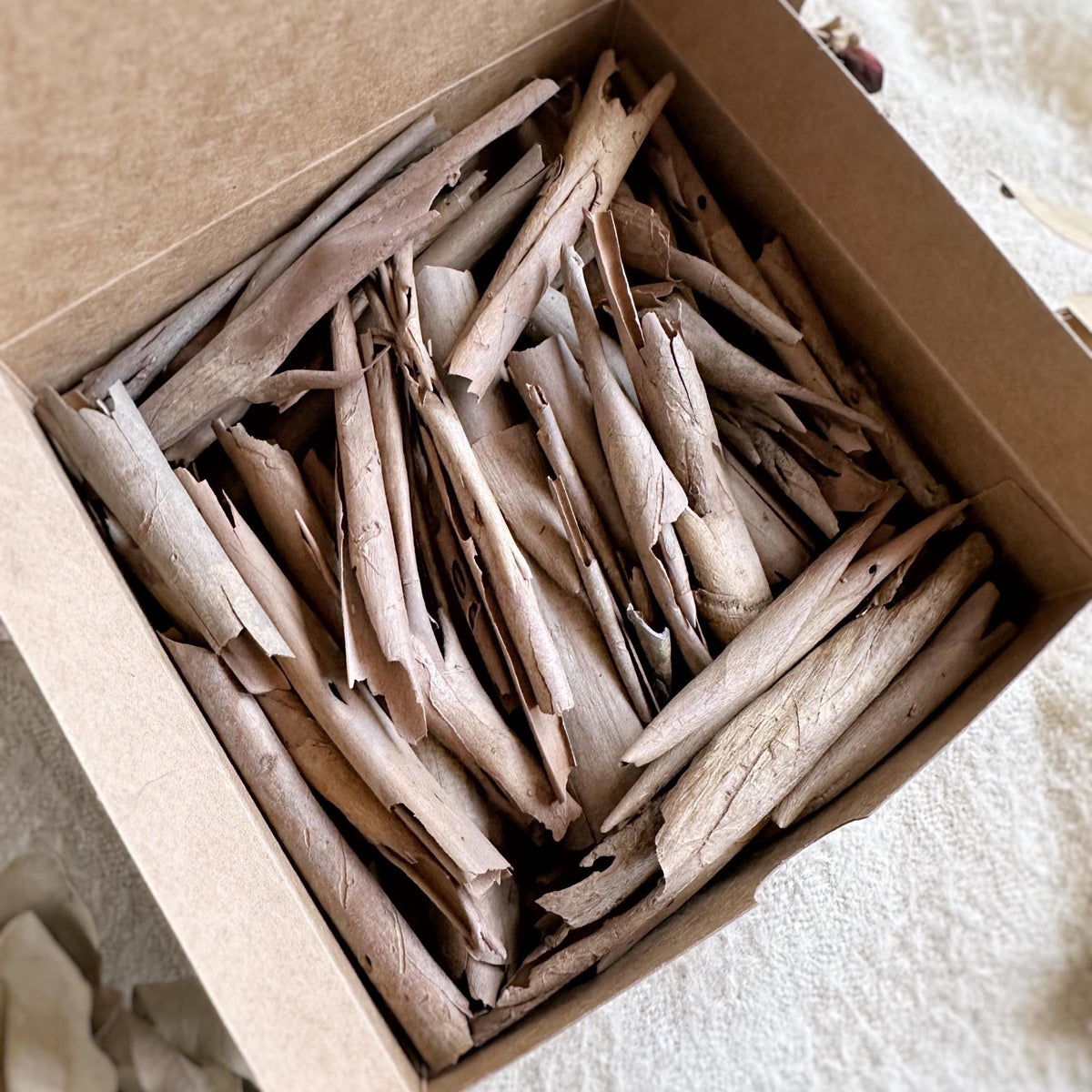 Box of Wild Foraged Tree Bark