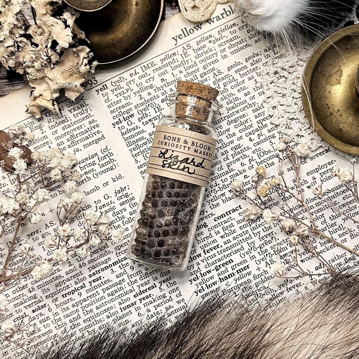 Real Lizard Skin in Glass Vial