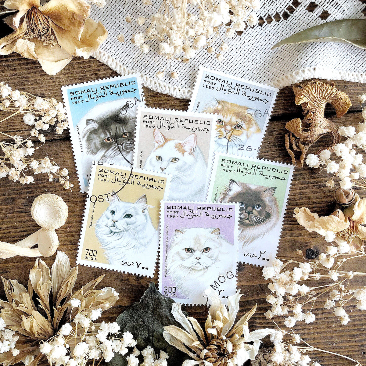 Vintage Cat Stamps – No. 08