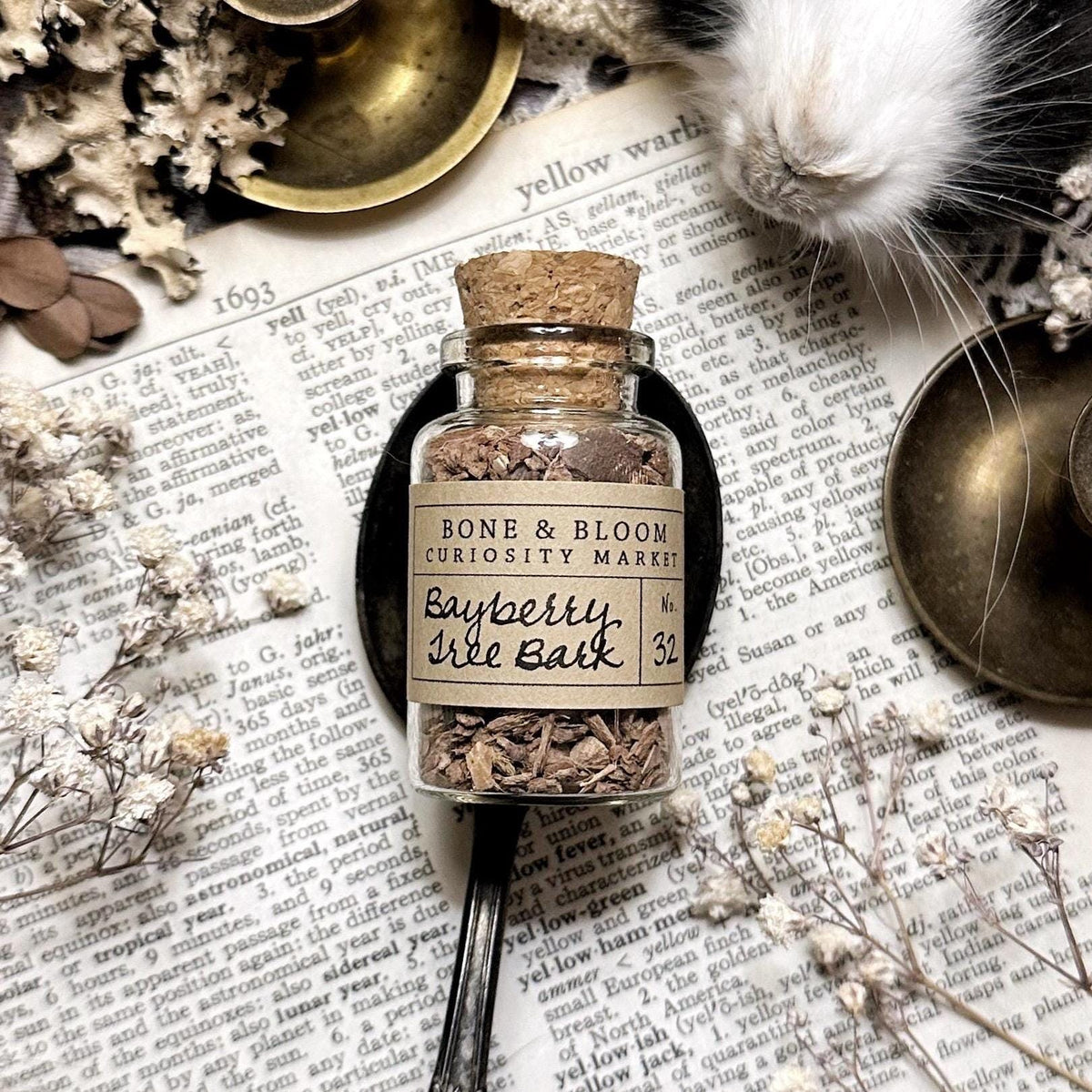 Dried Bayberry Tree Bark in Glass Vial – No. 32