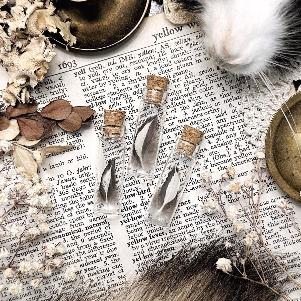 One Real Tiny Chicken Feather in Glass Vial – No. 02