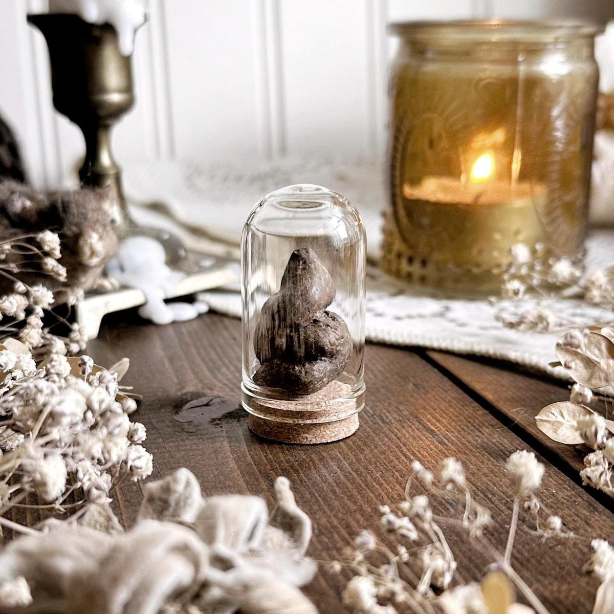 Real Petite Coprolite Fossil in Glass Dome – No. 01