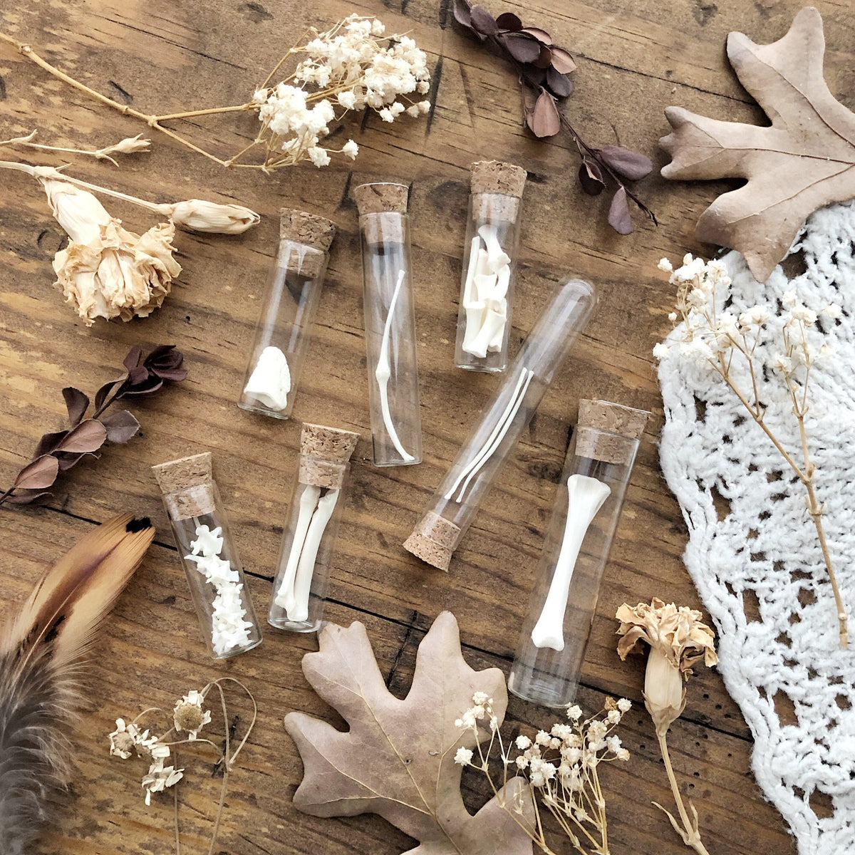Real Mystery Bone Specimen in Glass Vial