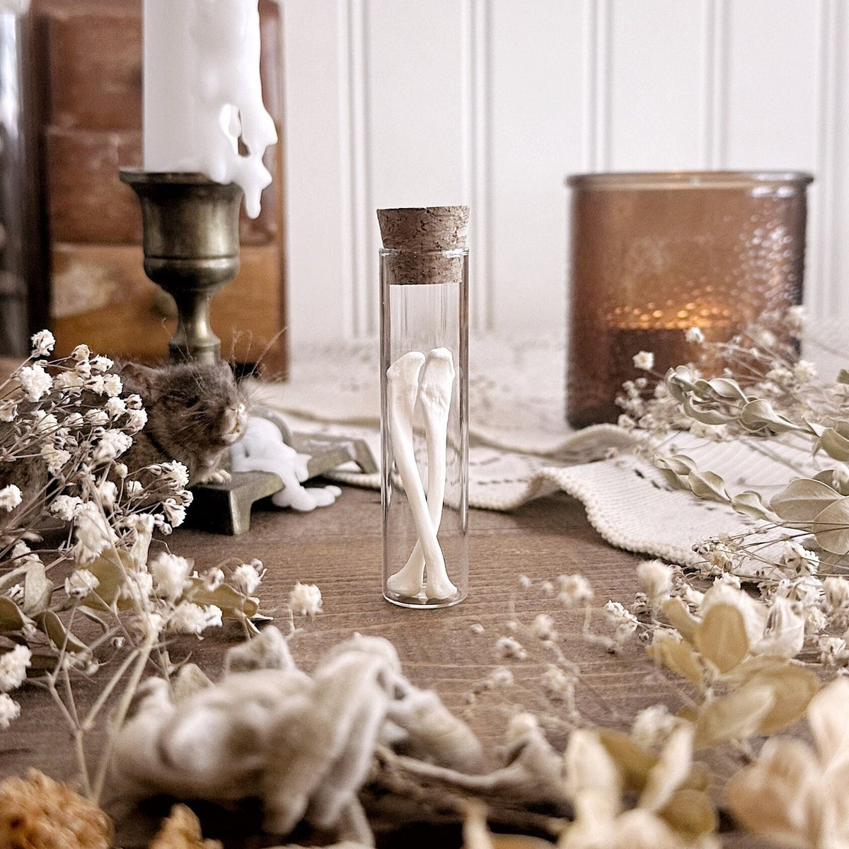 Real Woodchuck Bones in Glass Vial