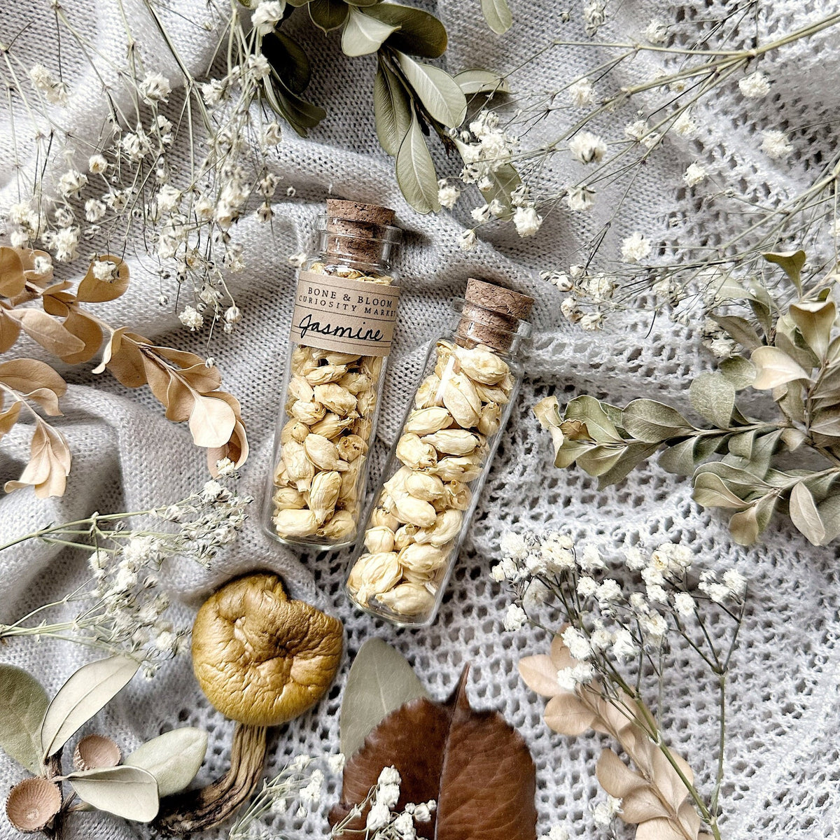 Dried Jasmine Flowers in Glass Vial