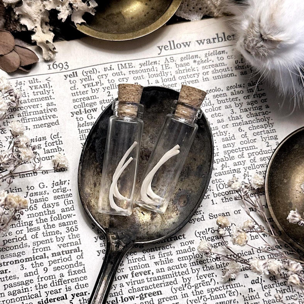 Real Tiny Rat Rib Bones in Tiny Glass Vial – No. 02