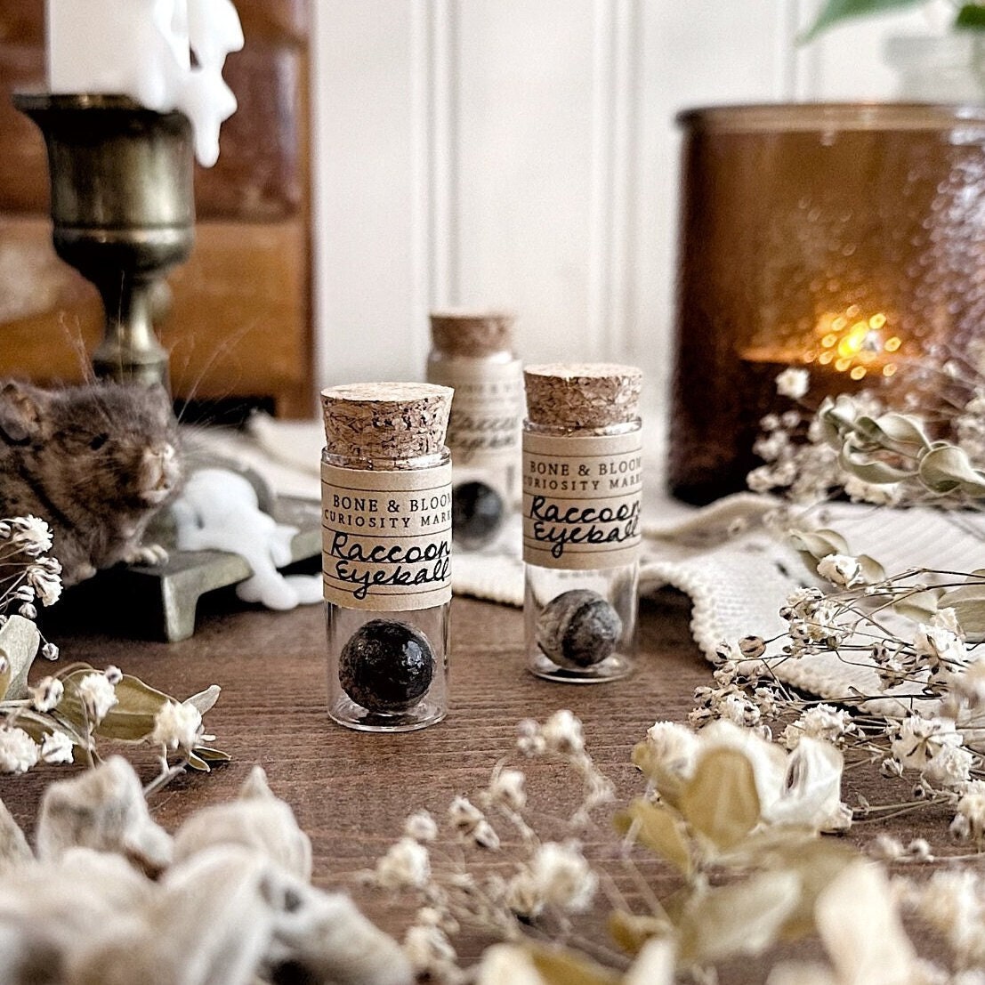One Real Mummified Raccoon Eyeball in Glass Vial