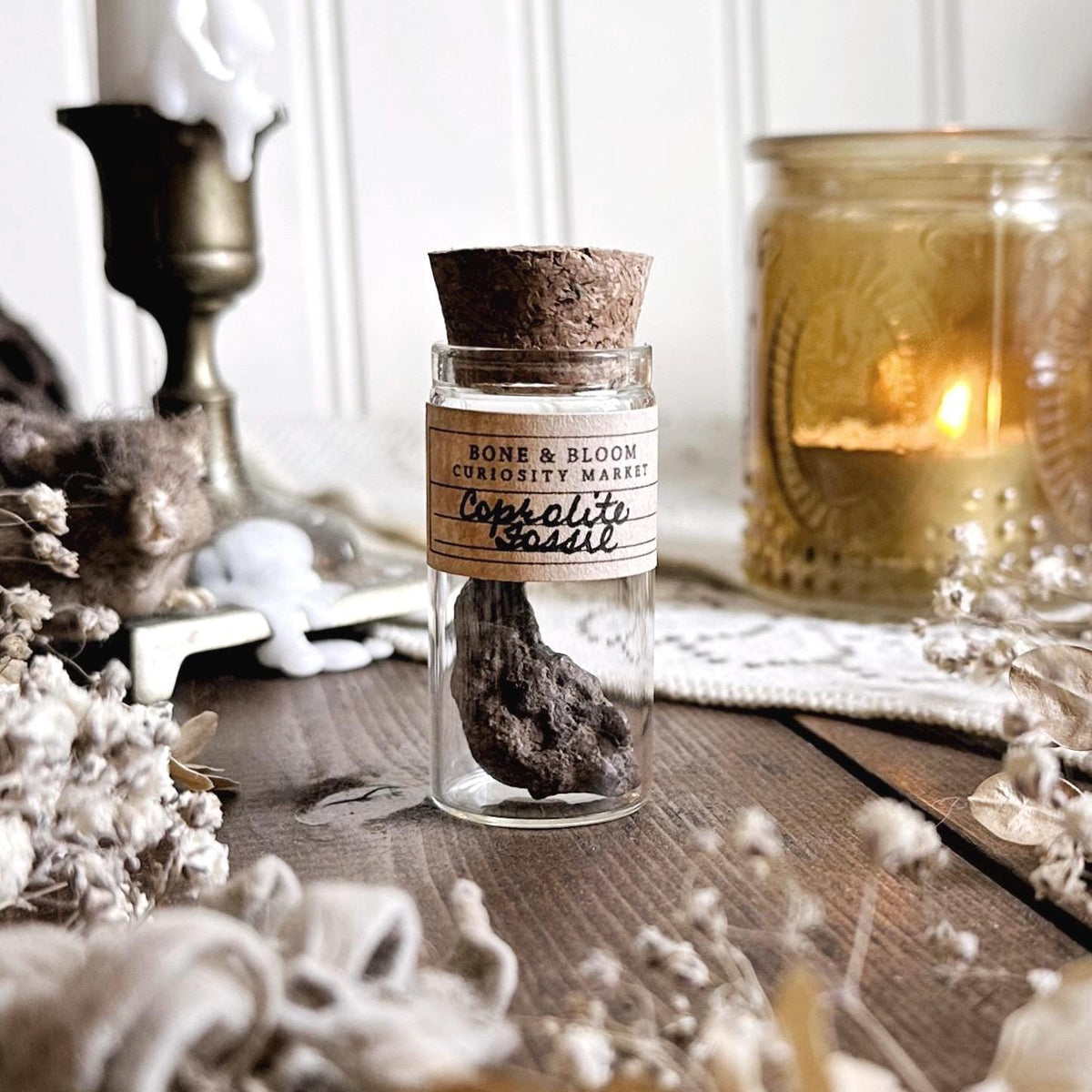 Real Petite Coprolite Fossil in Glass Vial – No. 18