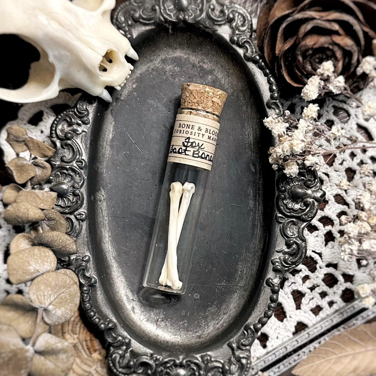 Real Fox Foot Bones in Glass Vial