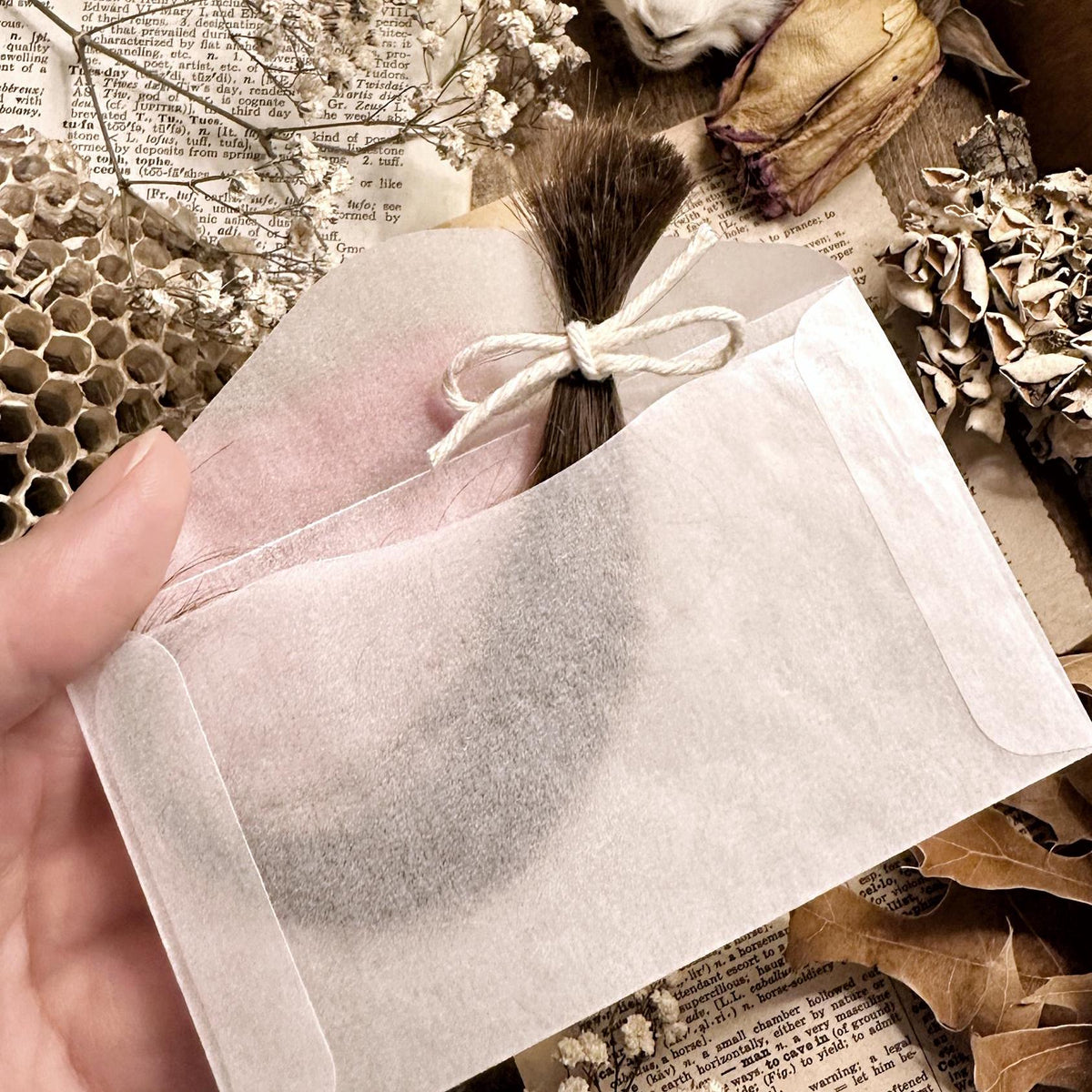 Lock of Human Hair – No. 01