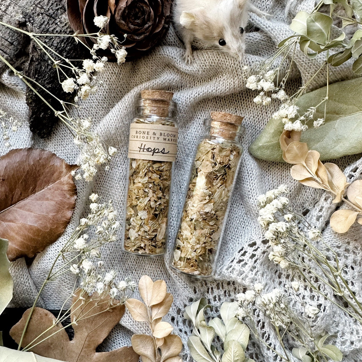 Dried Hops Petals in Glass Vial