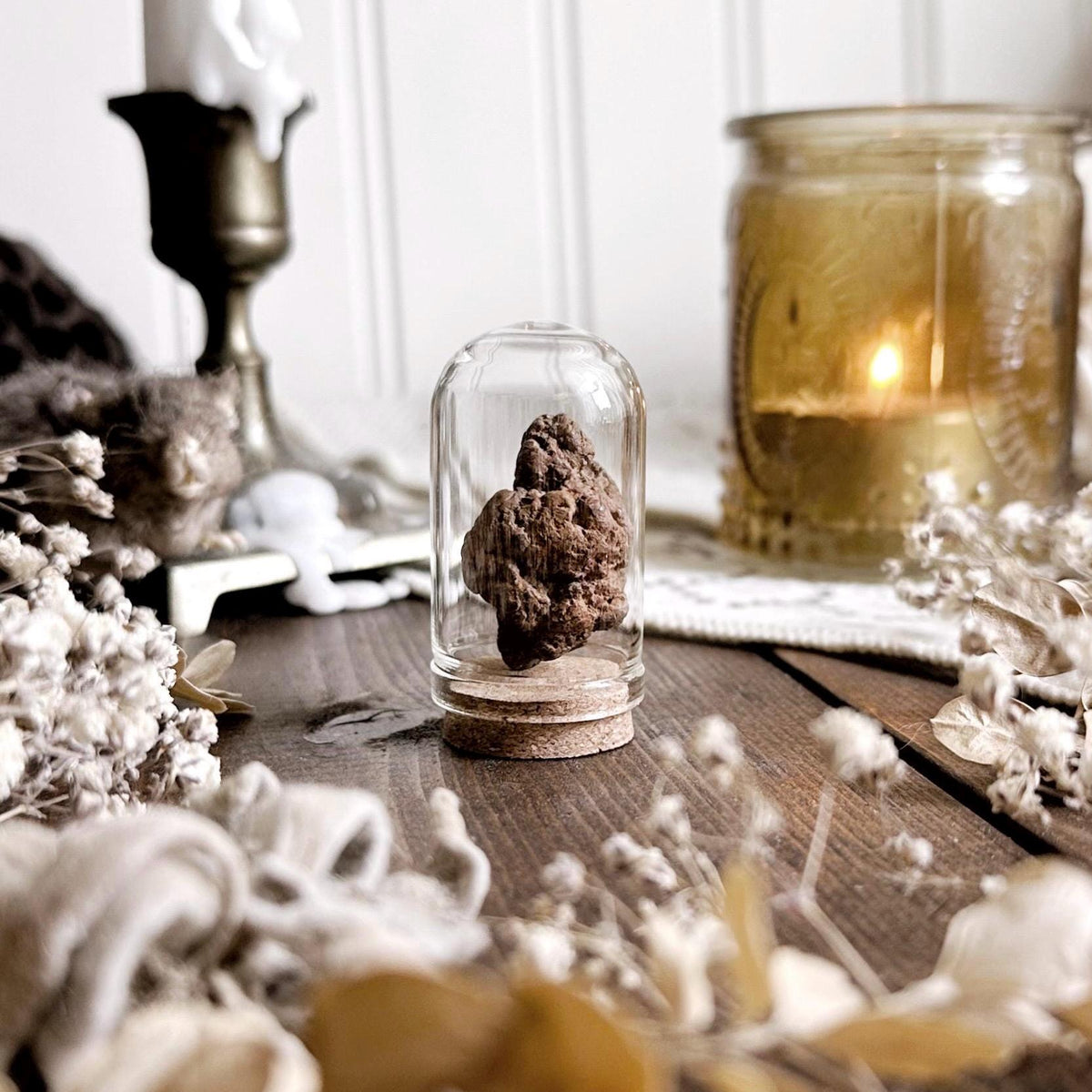 Real Petite Coprolite Fossil in Glass Dome – No. 04