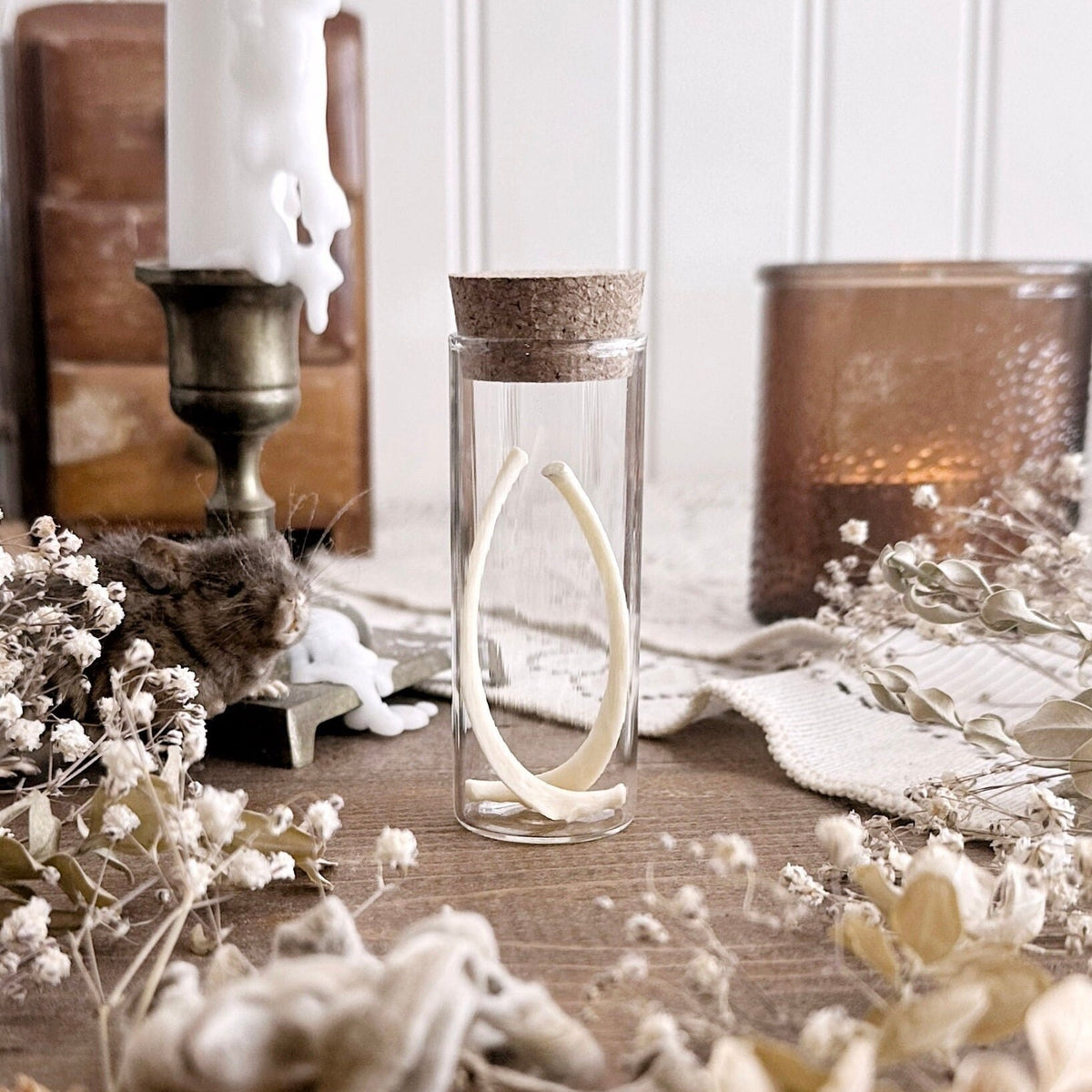 Real Raccoon Rib Bones in Glass Vial – No. 02