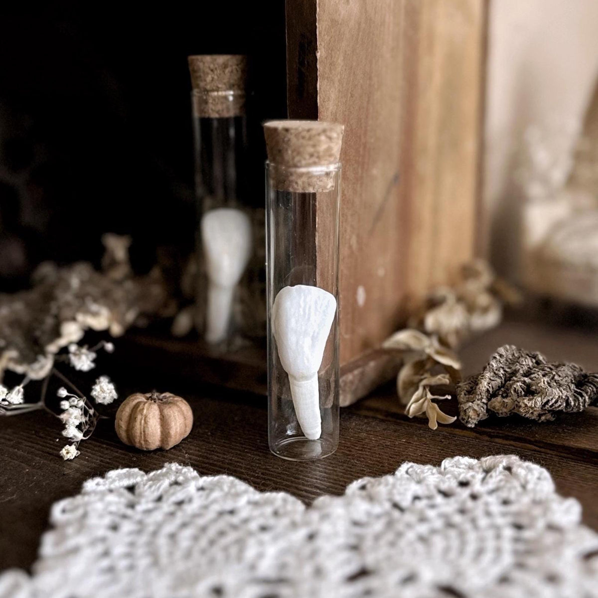 One Real Bison Tooth in Glass Vial – No. 02