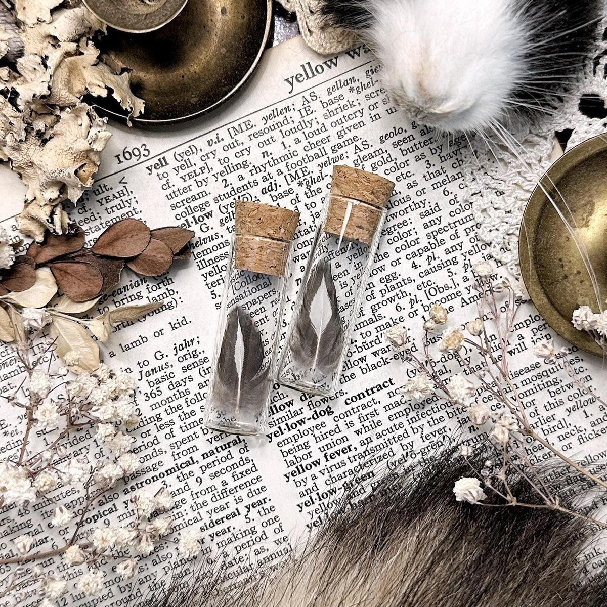 One Real Tiny Chicken Feather in Glass Vial – No. 01