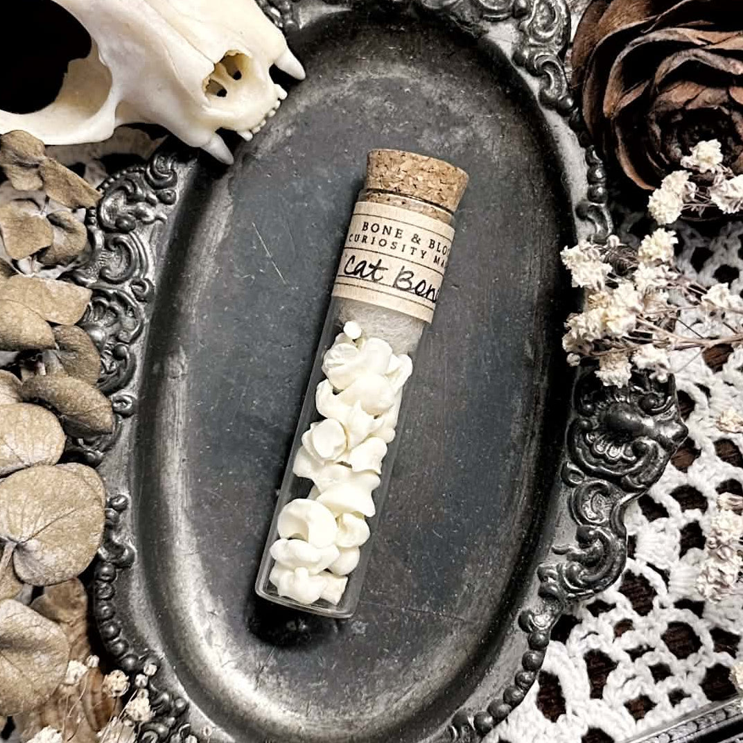 Real Tiny Cat Bones in Glass Vial