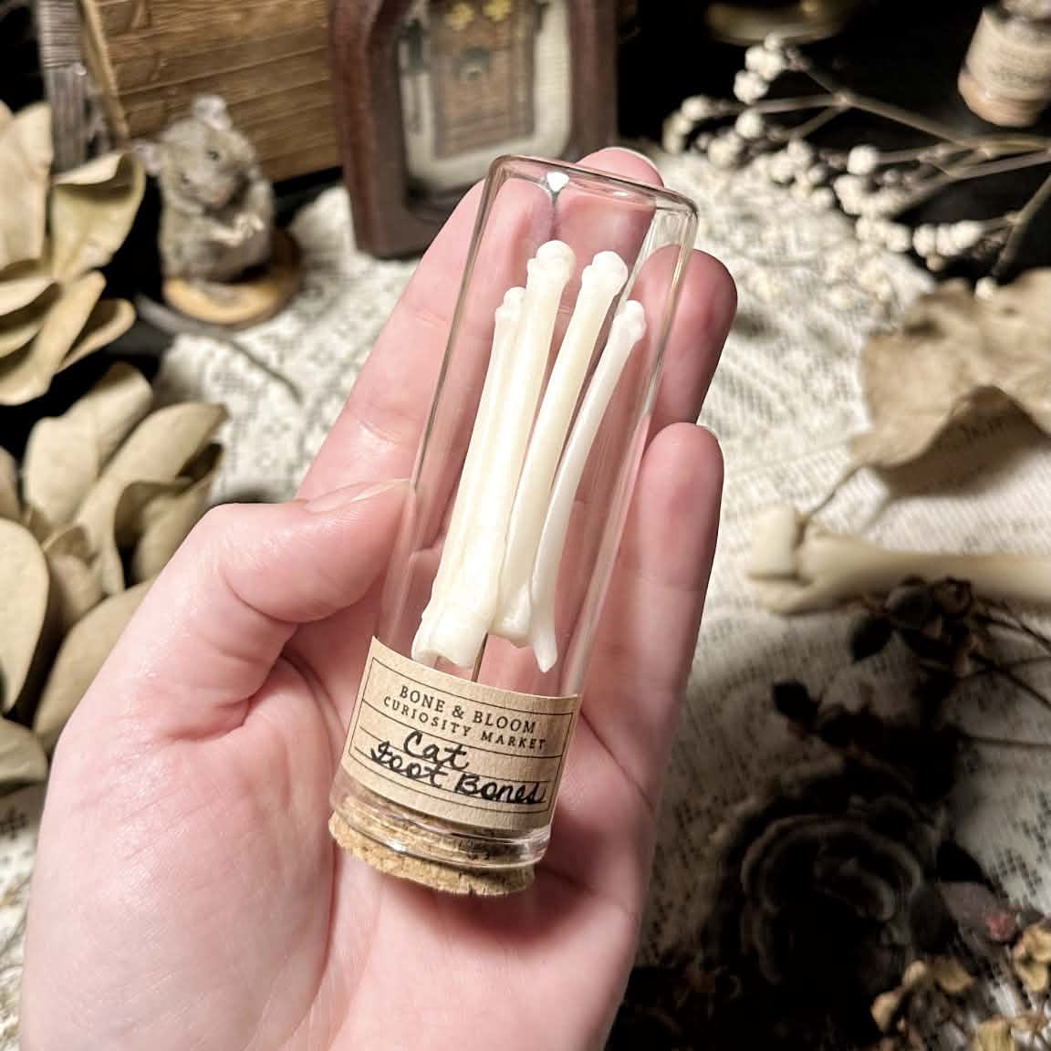 Real Cat Skeletal Foot in Glass Vial
