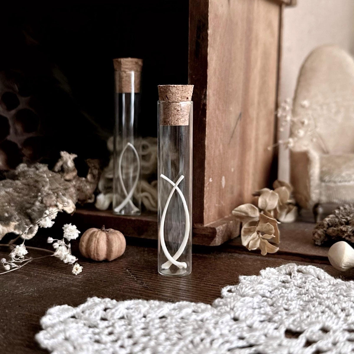 Real Rattlesnake Rib Bones in Glass Vial – No. 01