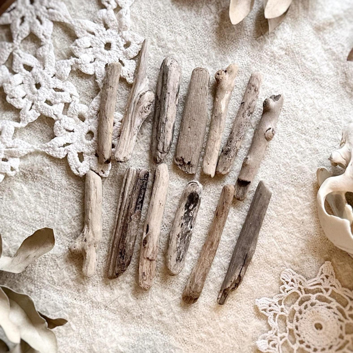 Natural Oregon Driftwood Collection – No. 15