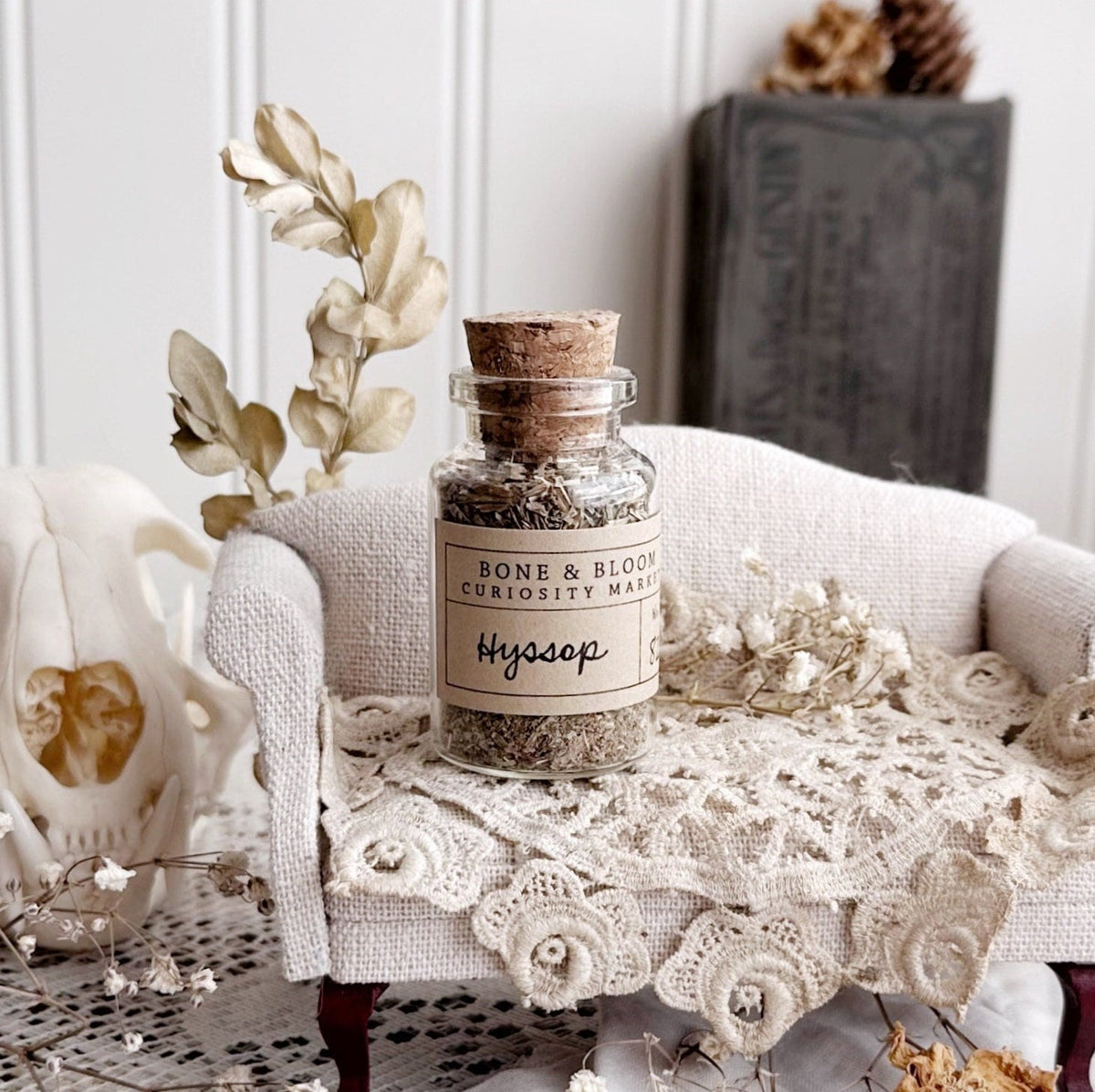Dried Hyssop in Glass Vial – No. 82