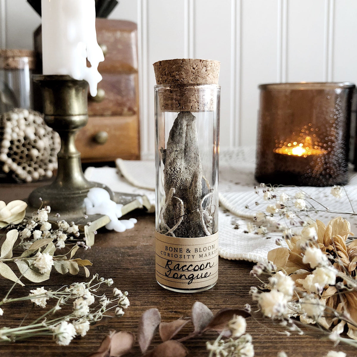 Real Mummified Raccoon Tongue in Glass Vial – No. 03