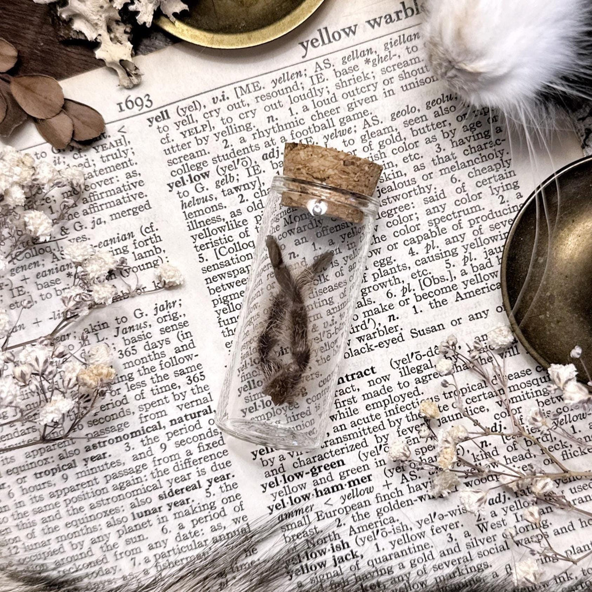 Petite Tarantula Legs in Glass Vial – No. 16