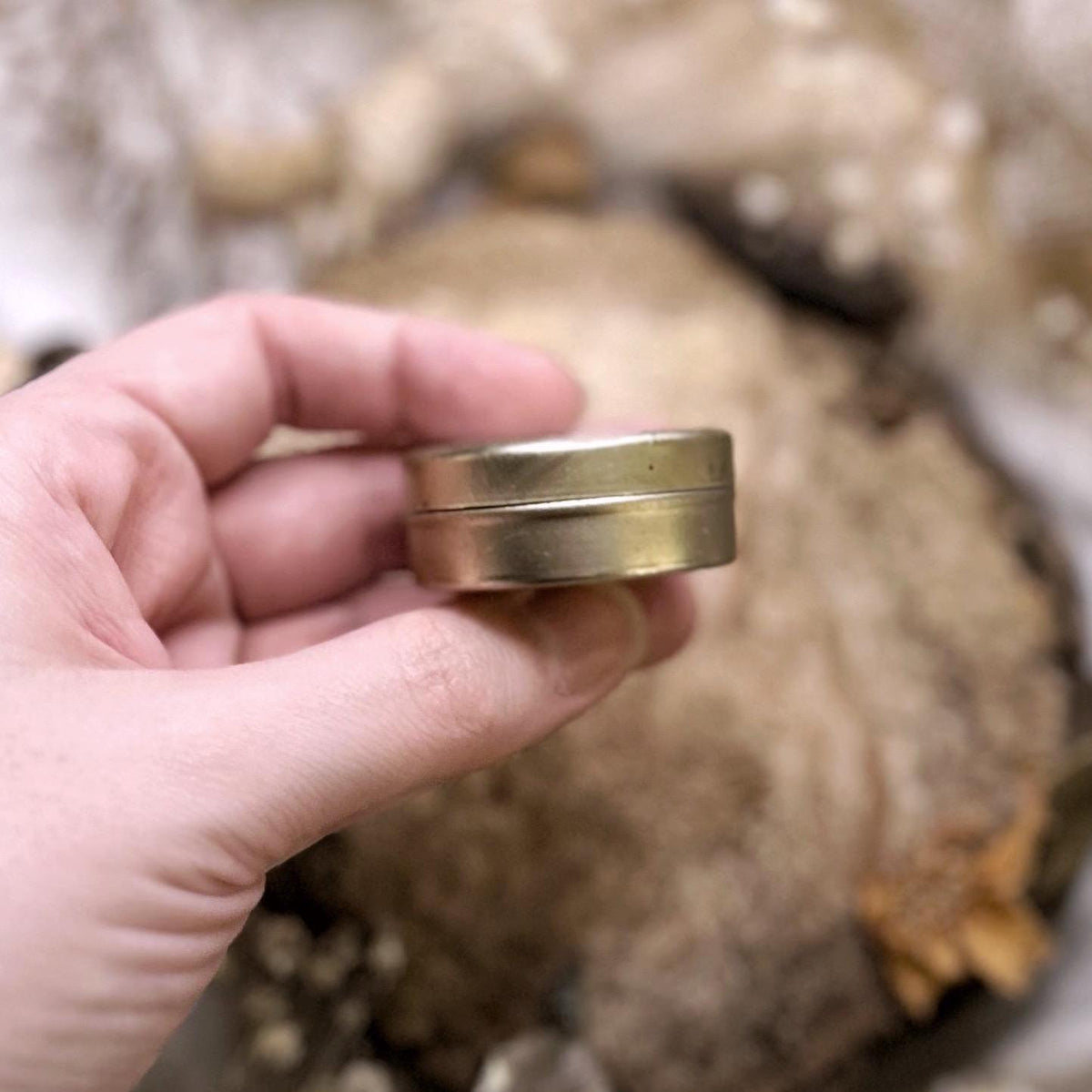 Vintage Pill Box – No. 06