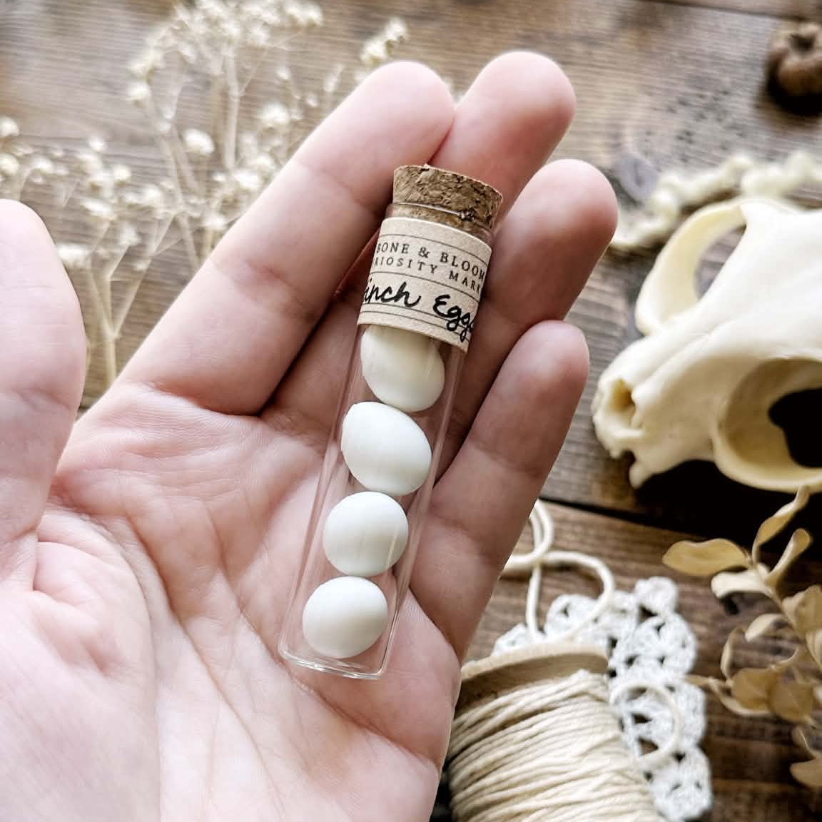 Real Tiny Finch Eggs in Glass Vial