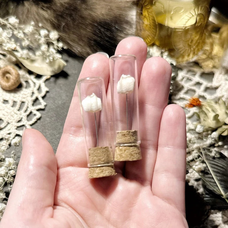 Real Tiny Stillborn Baby Goat Tooth in Glass Vial