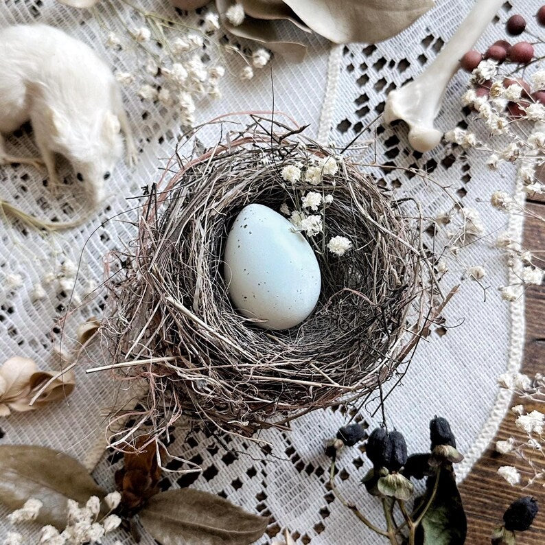 Real Petite Bird's Nest With Real Blue Quail Egg – No. 04