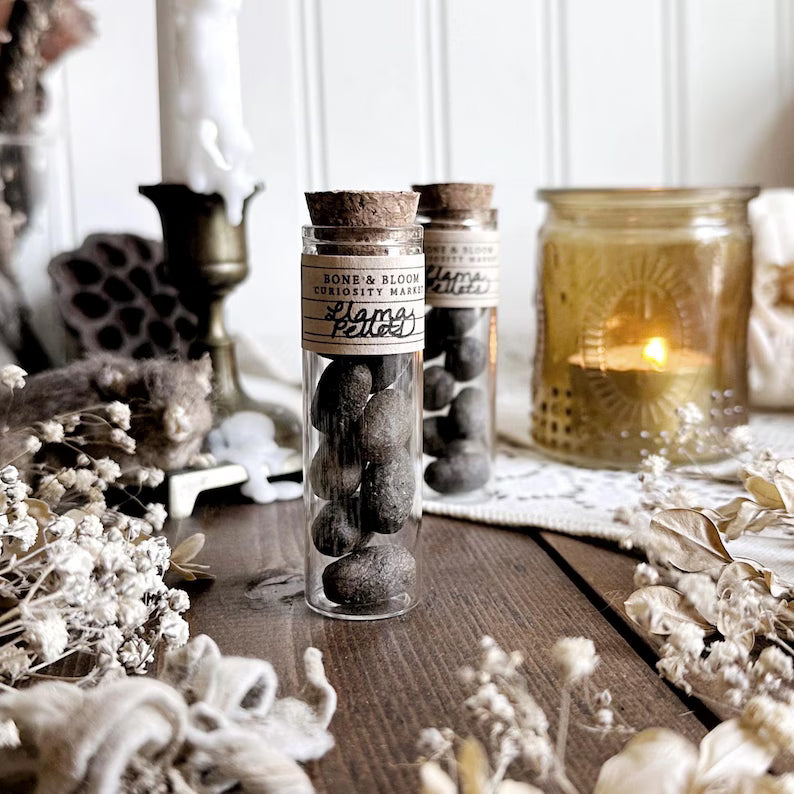 Real Dried Llama Pellets in Glass Vial