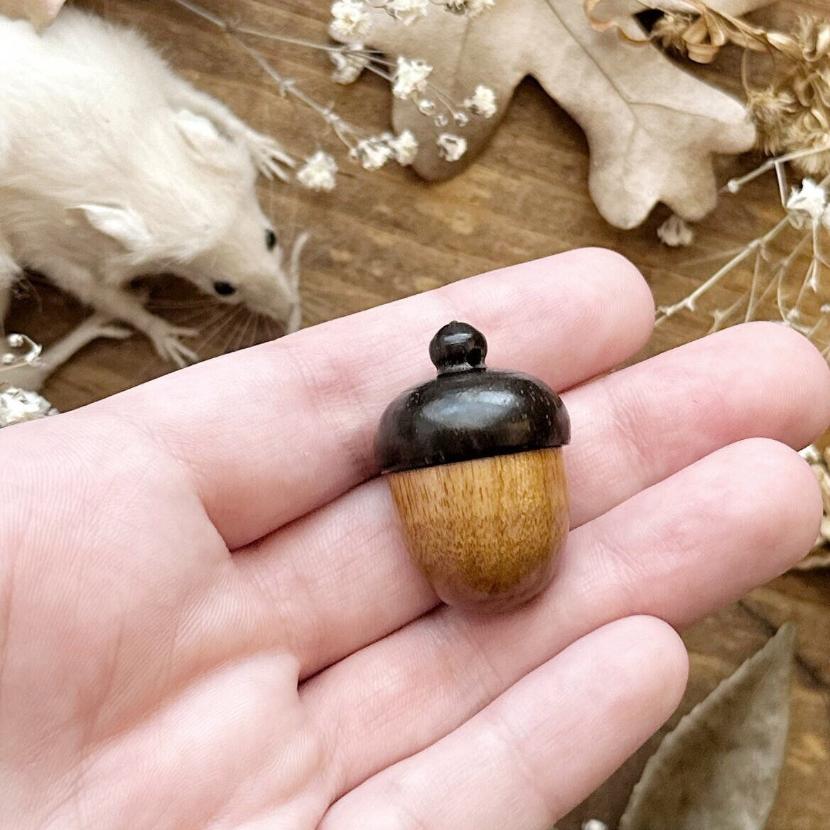Wooden Acorn Trinket Box with Real Raccoon Tooth