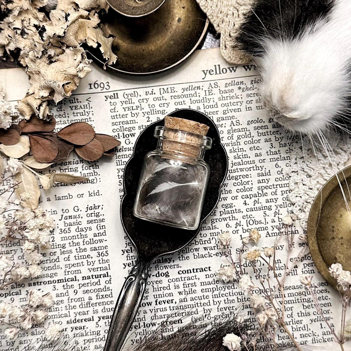 Real Tiny Chicken Feathers in Tiny Glass Vial – No. 03