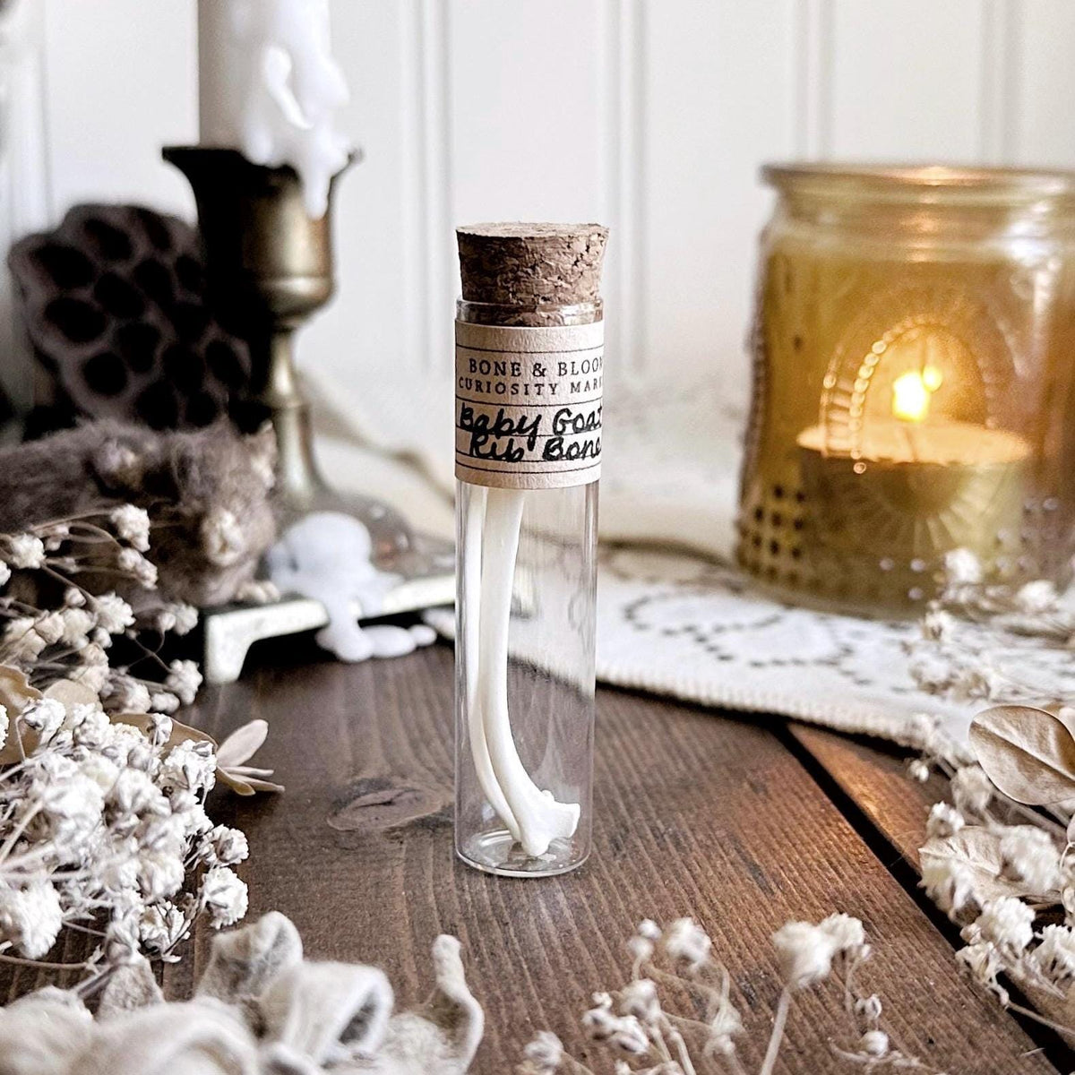Real Baby Goat Rib Bones in Glass Vial – No. 03
