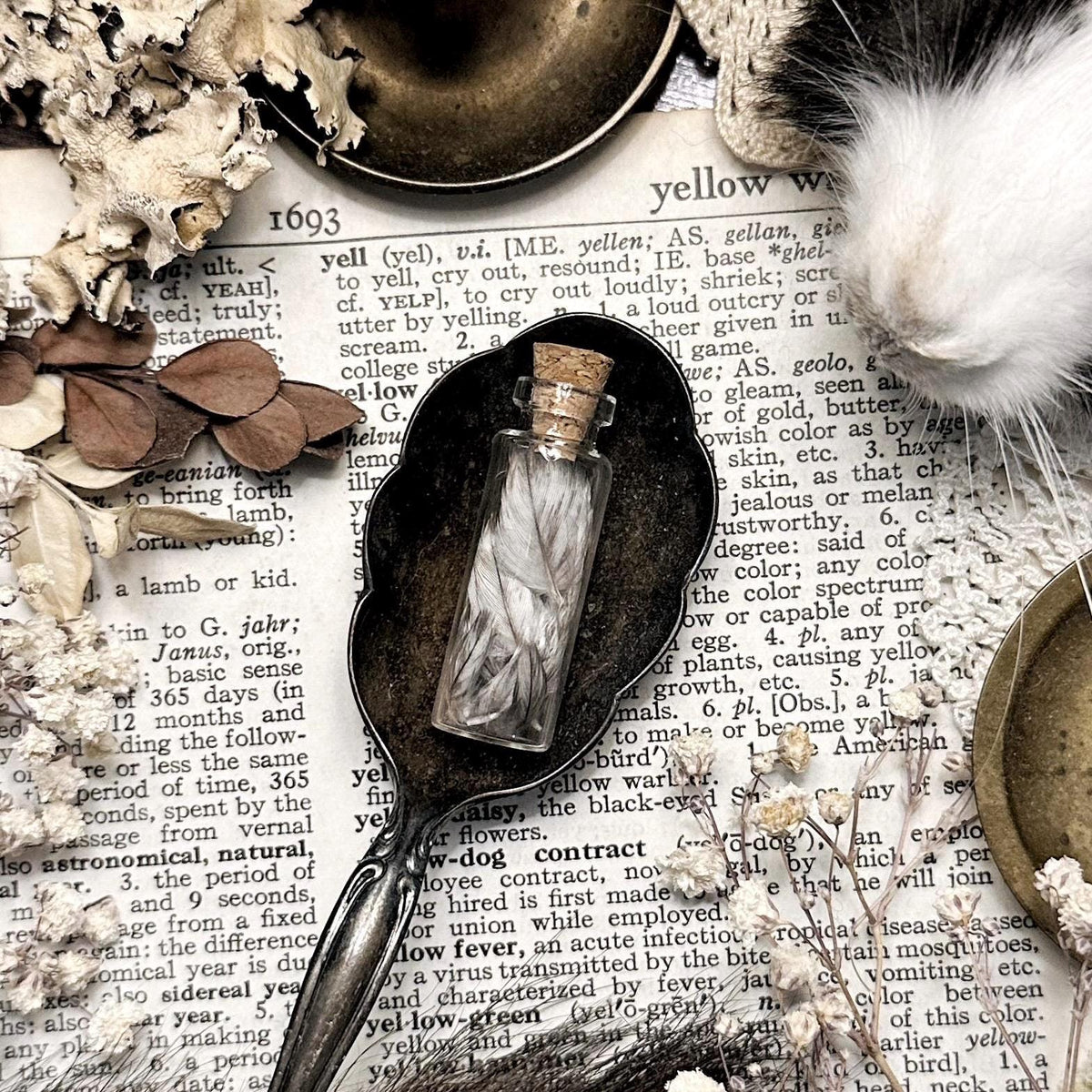 Real Tiny Gray Turkey Feathers in Glass Vial – No. 03