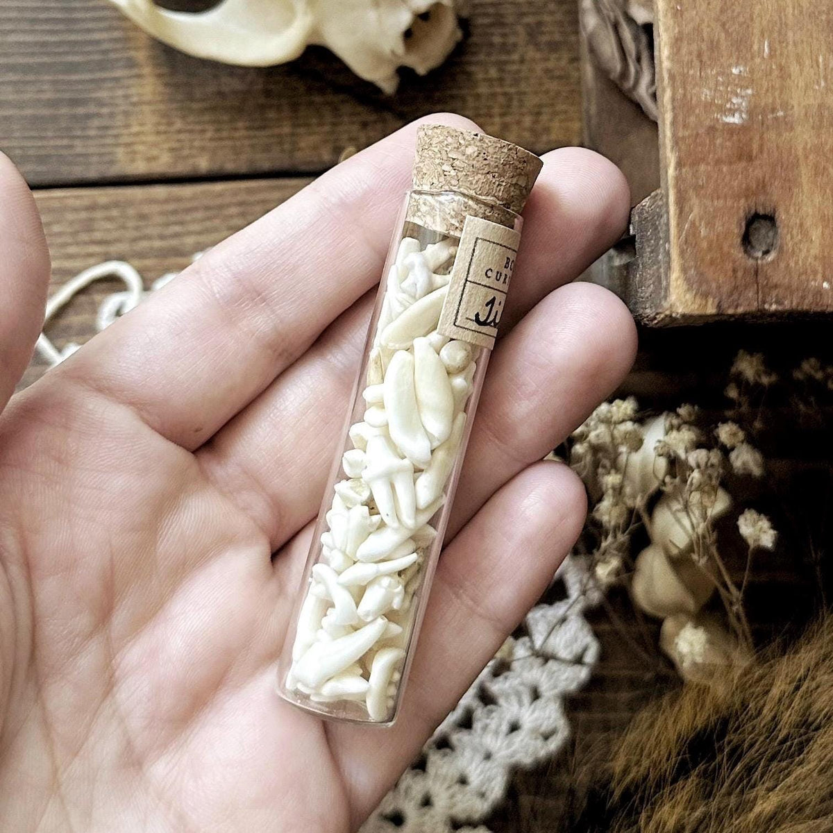 Real Tiny Teeth in Glass Vial