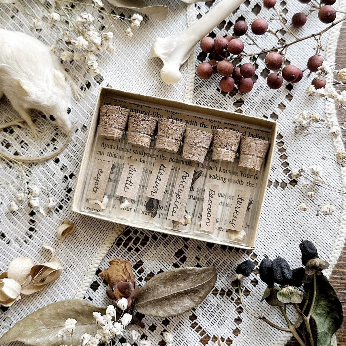 A Study in Claws Collection – No. 01